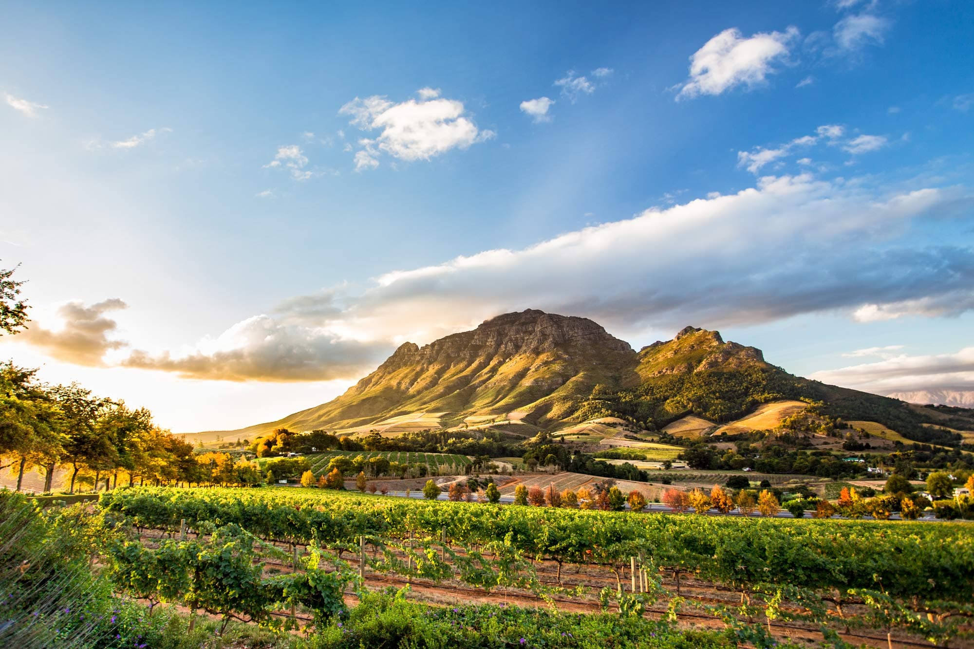 Winelands & Beyond holidays