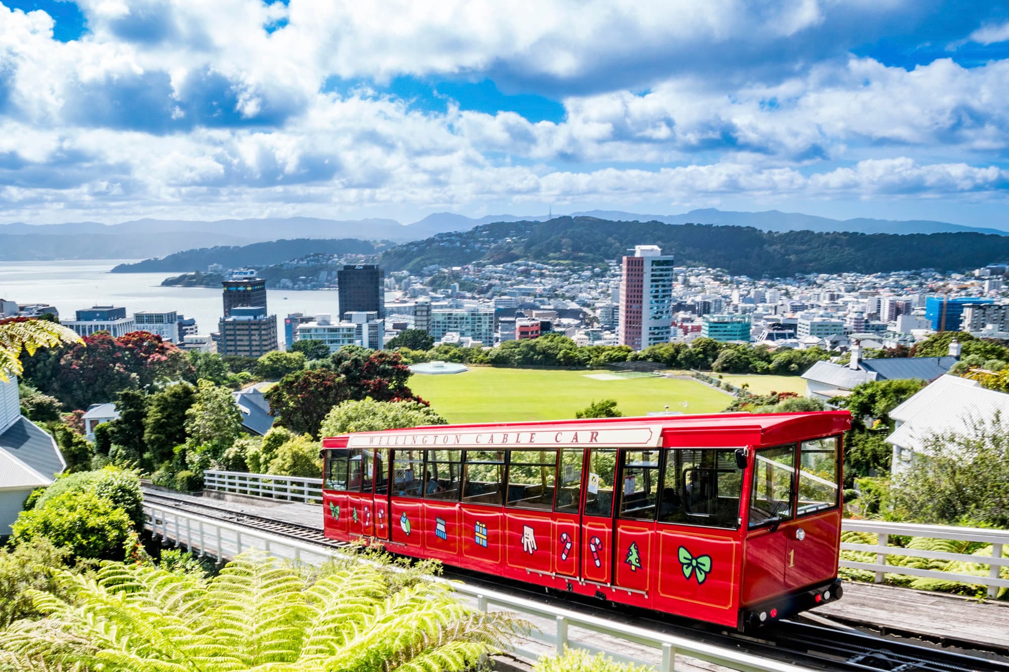 Wellington holidays