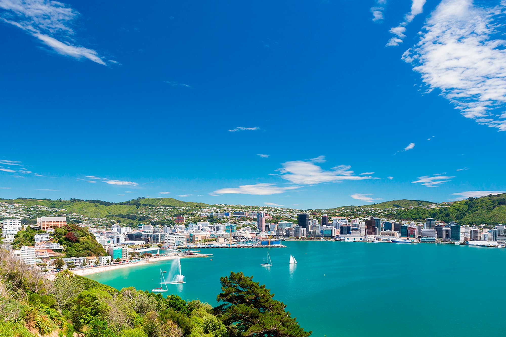 Wellington holidays