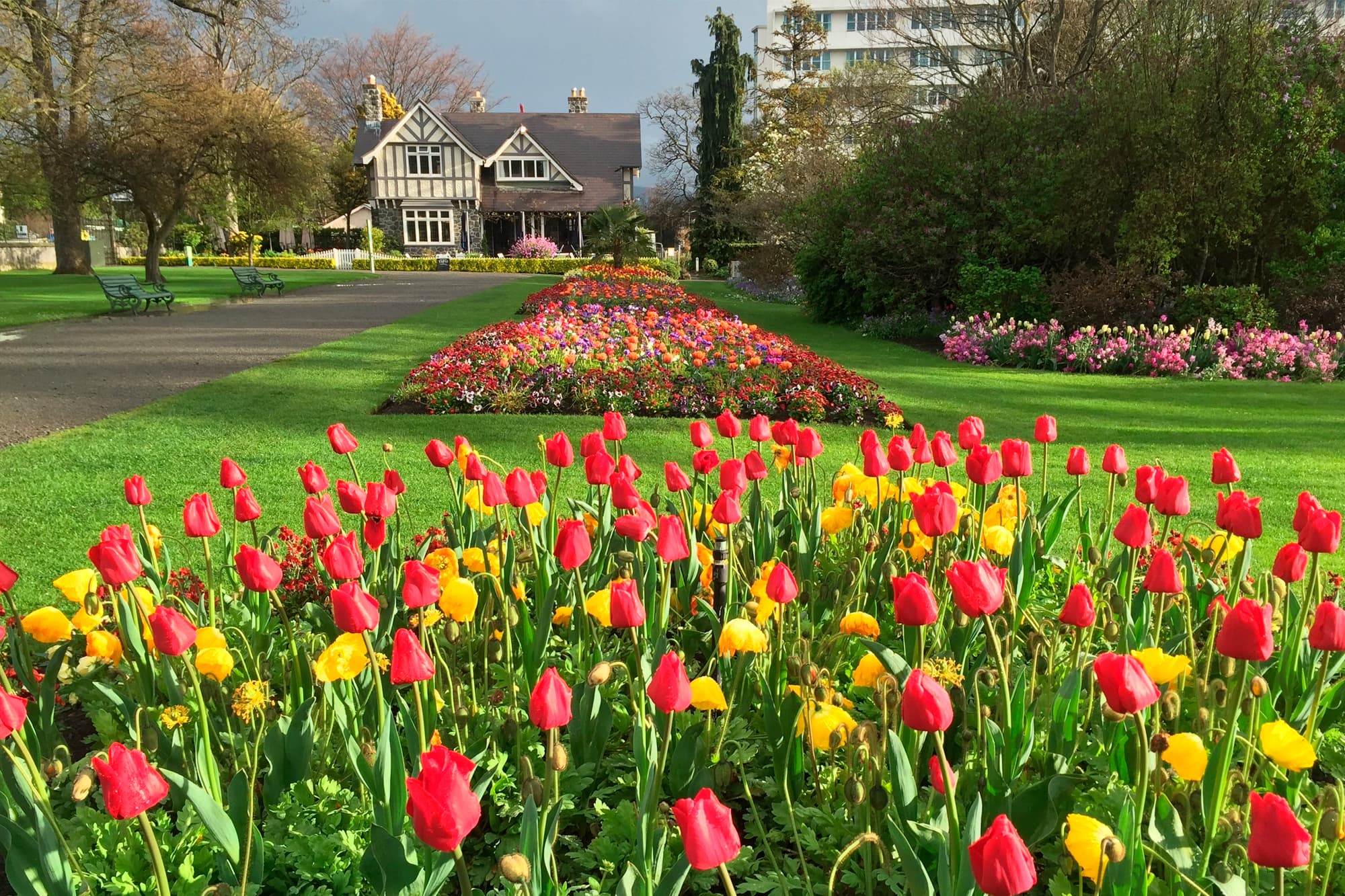 Christchurch holidays