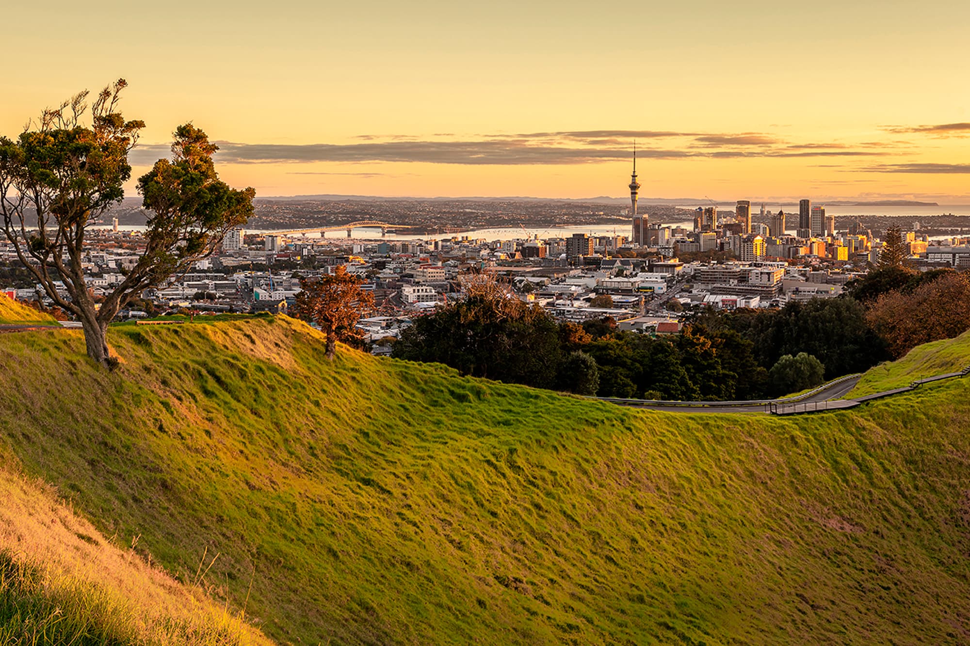 Auckland holidays