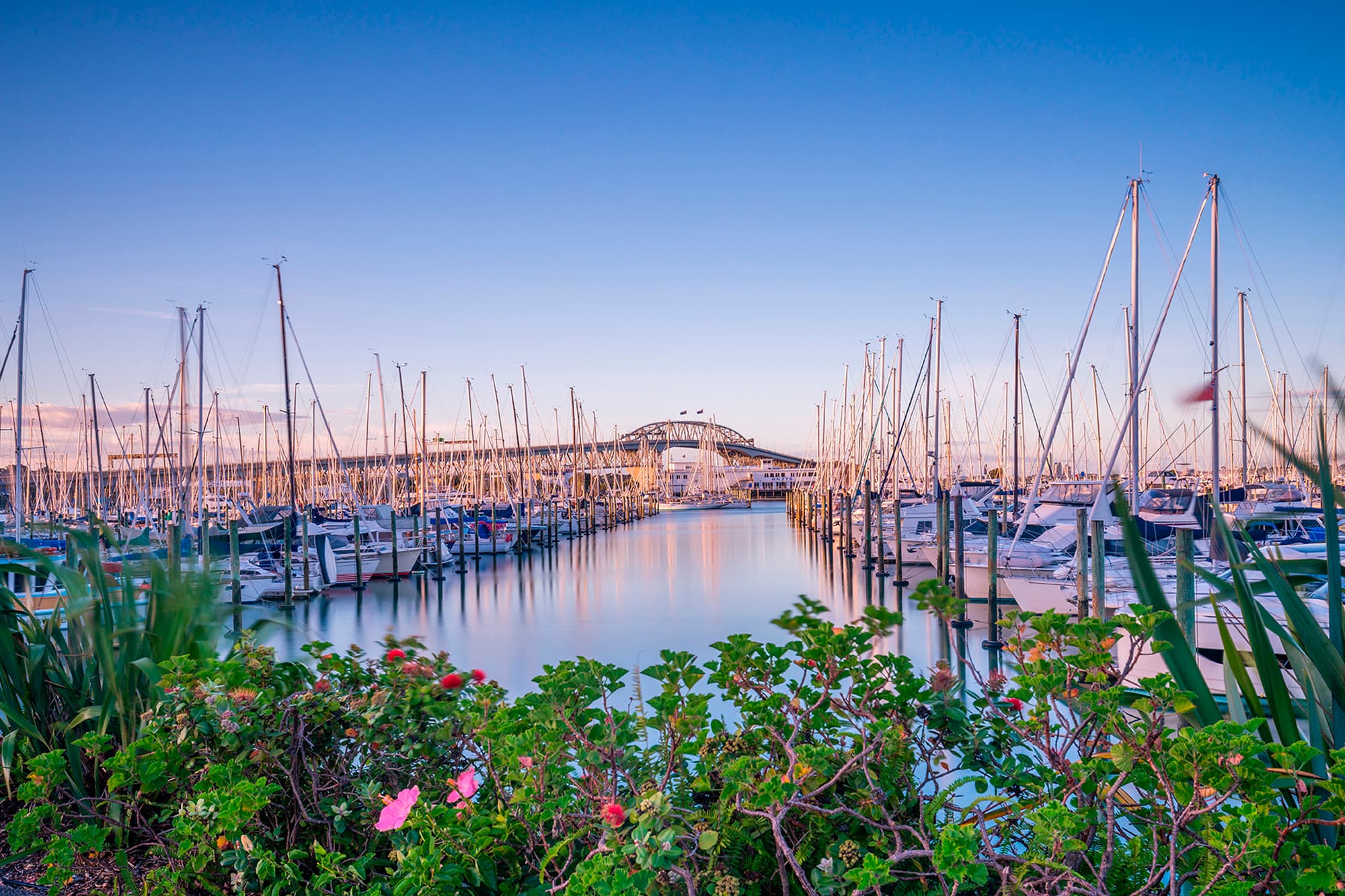 Auckland holidays