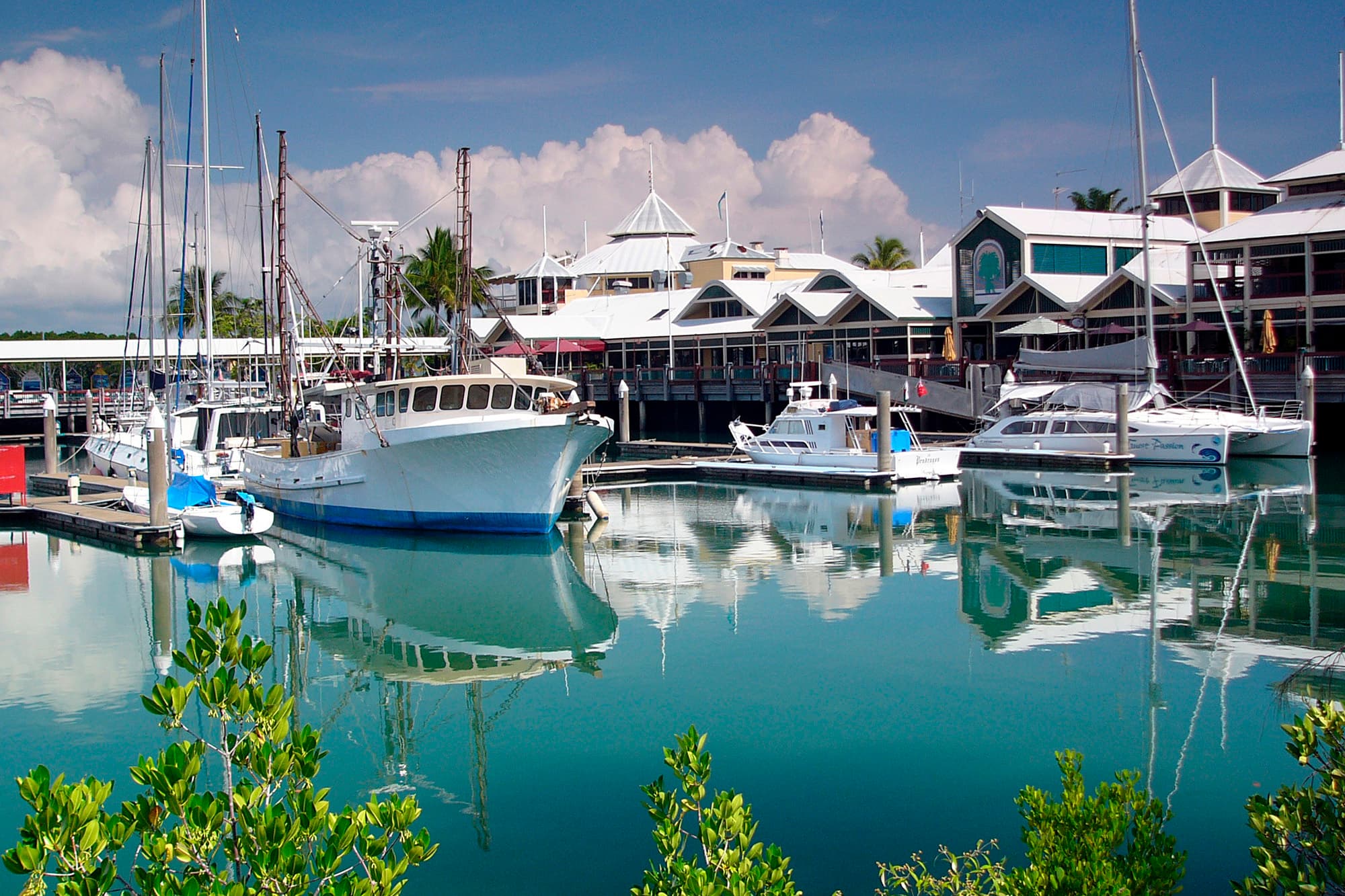 Port Douglas & Palm Cove holidays