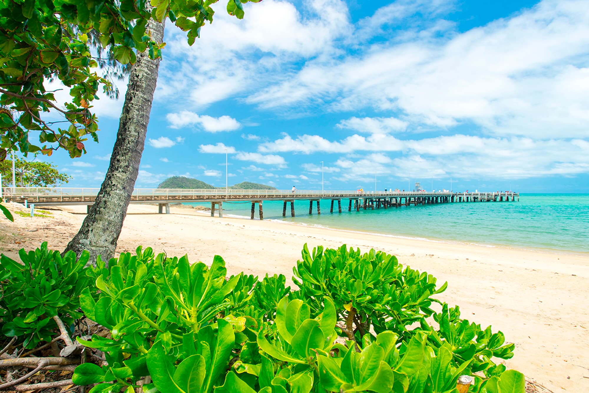 Port Douglas & Palm Cove holidays