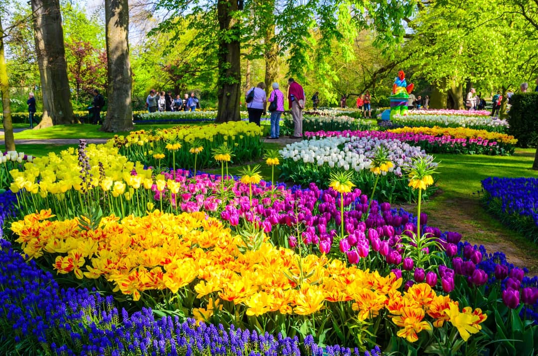 Save up to 15% on worldwide tours