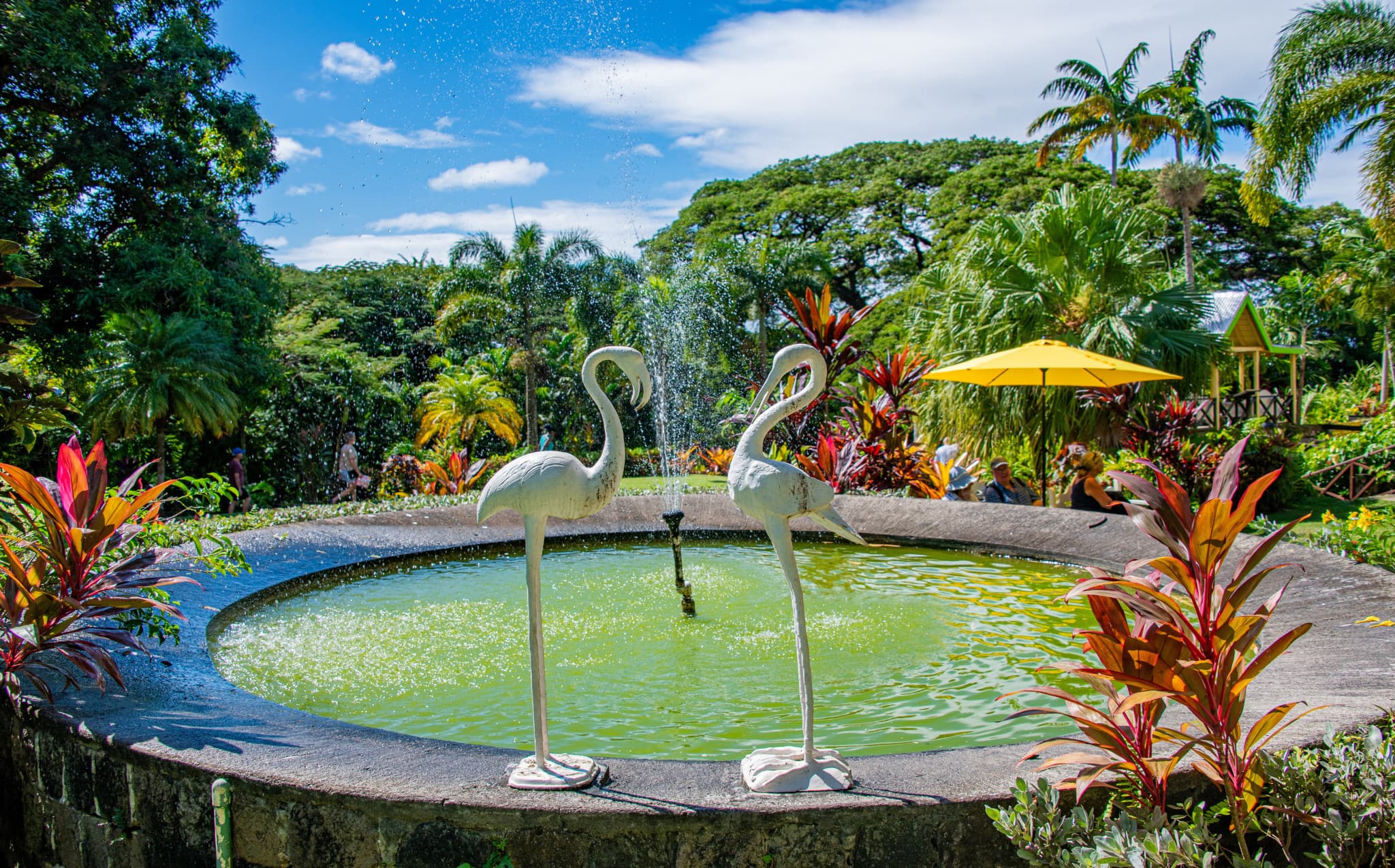 Caribbean Christmas Island-Hopping