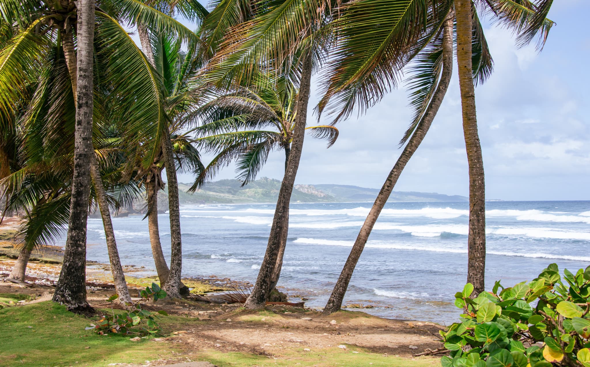 Caribbean Christmas Island-Hopping