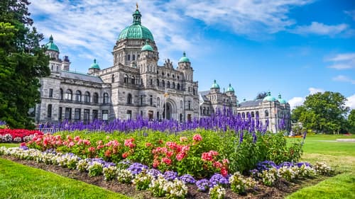 Glacial Dreams: An Unforgettable Alaska Cruise