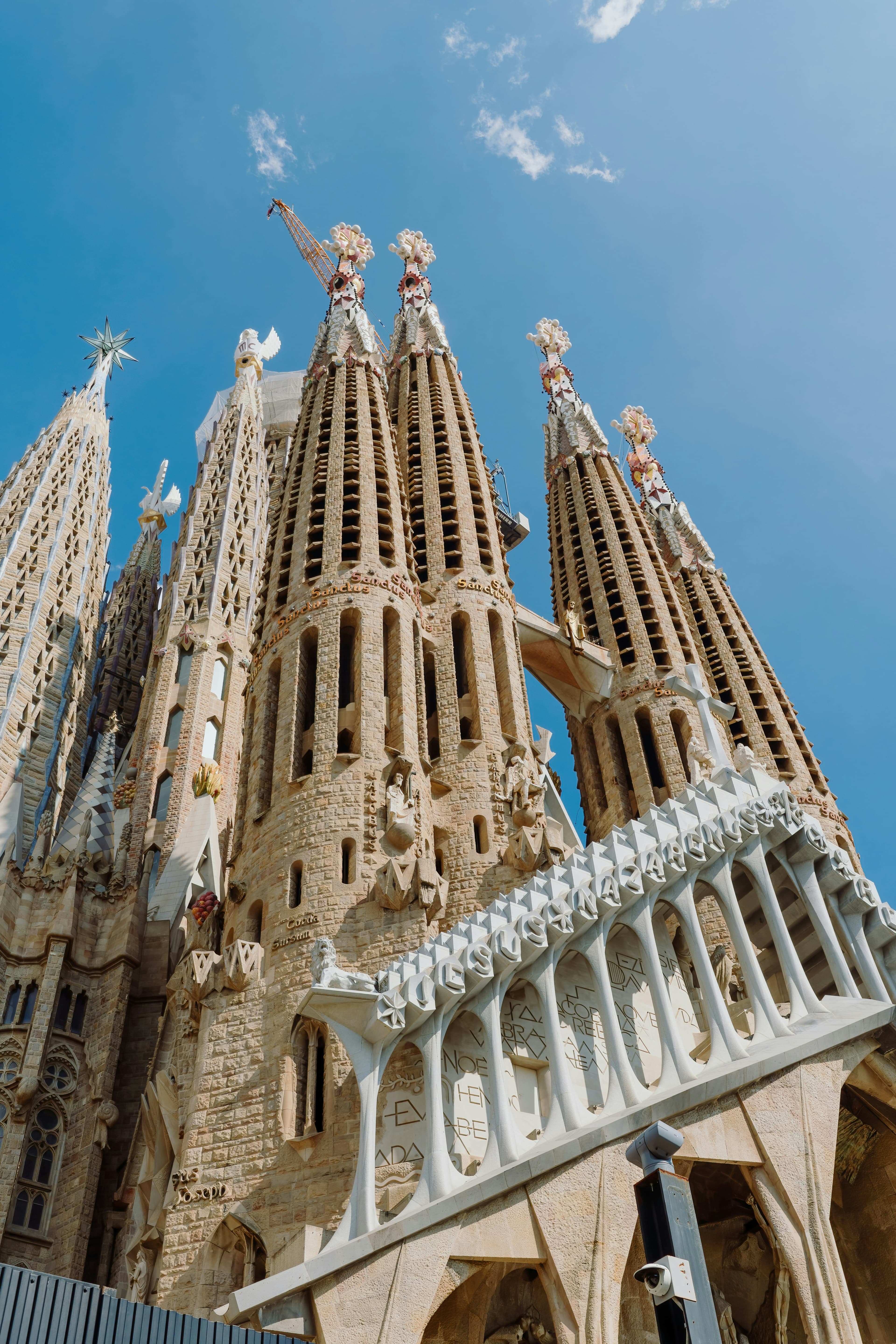 Luxury Golf Cruise - Save 40%