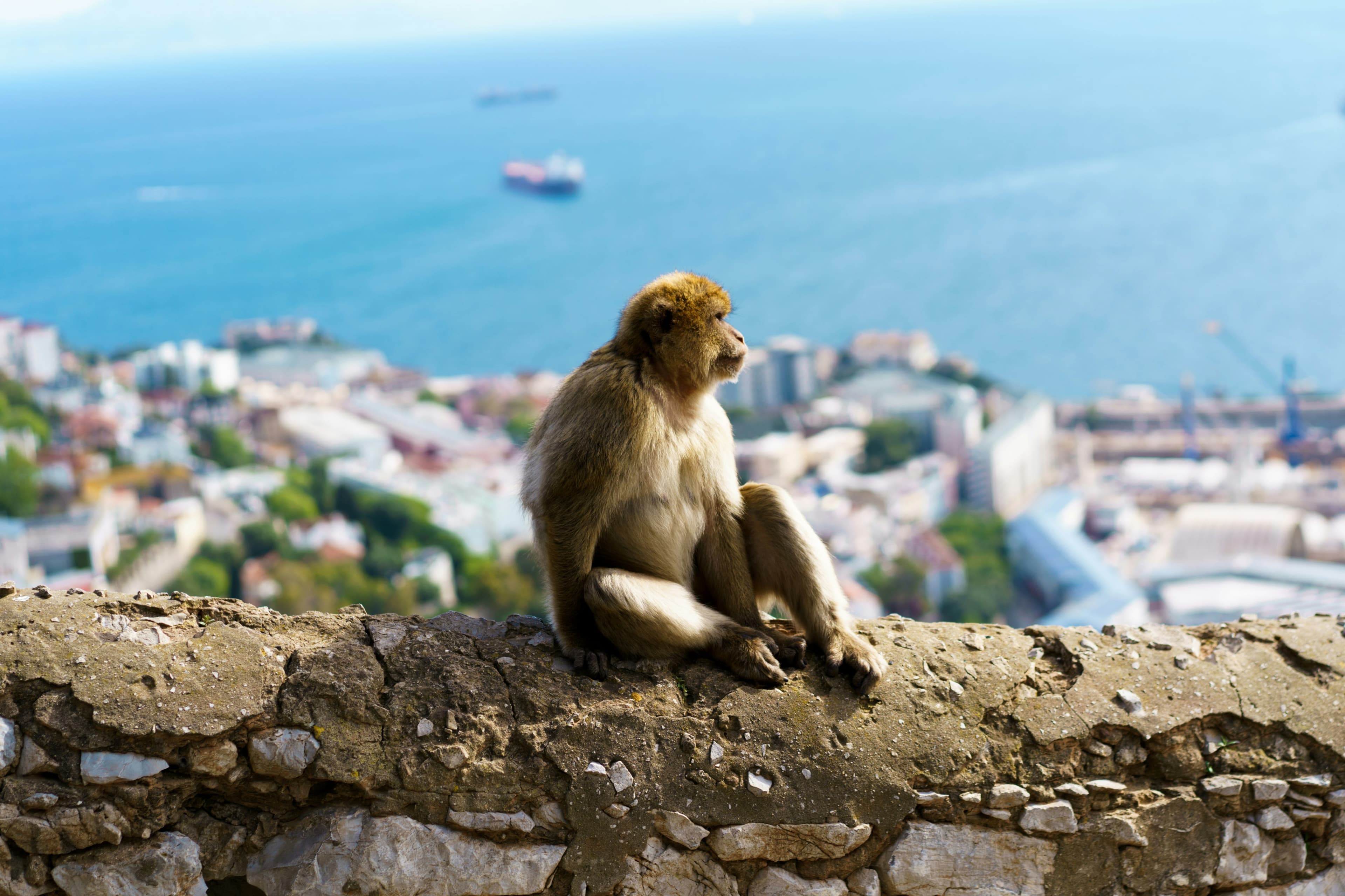 Luxury Cruise From Lisbon to Barcelona