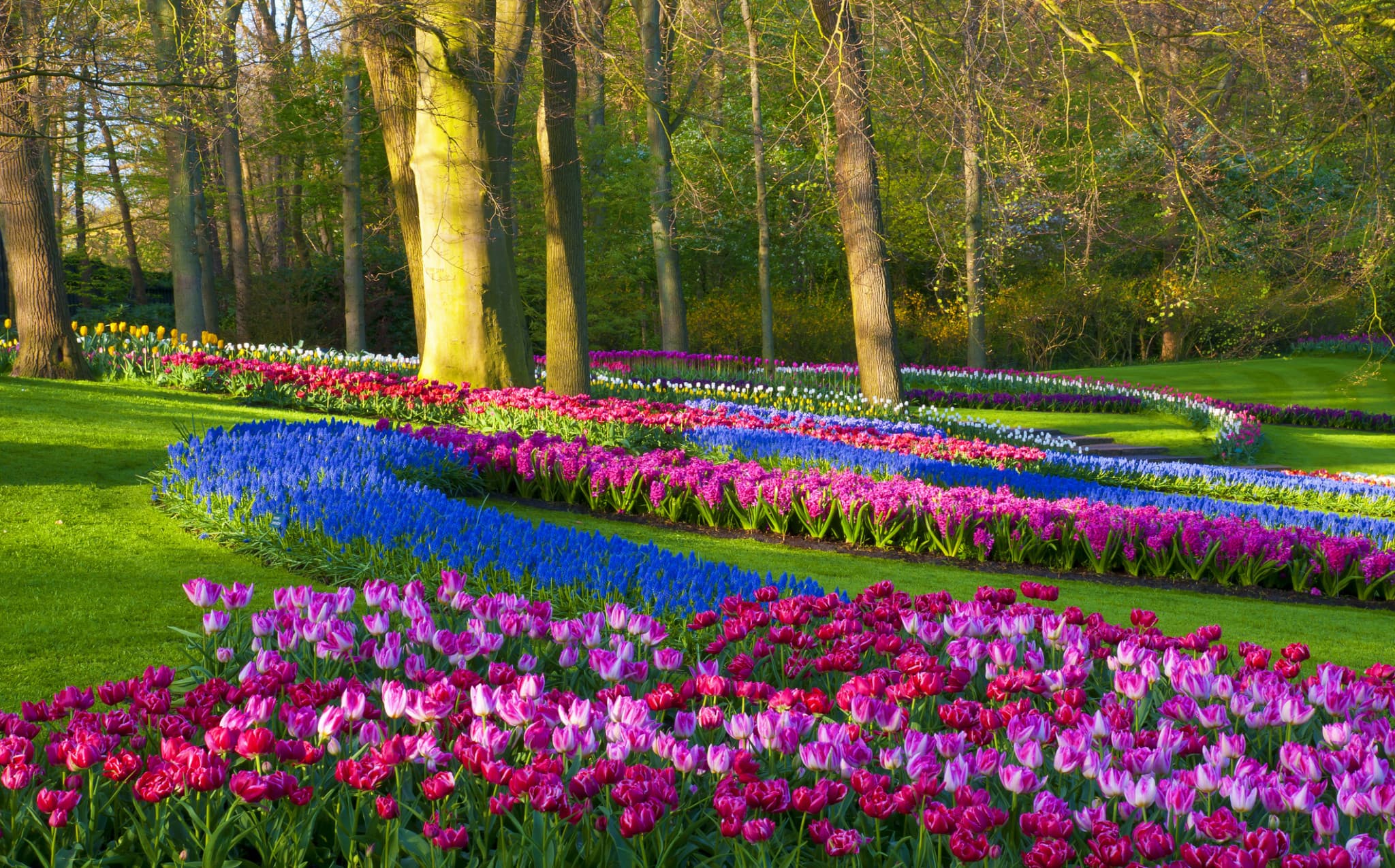Andre Rieu in Concert in Amsterdam