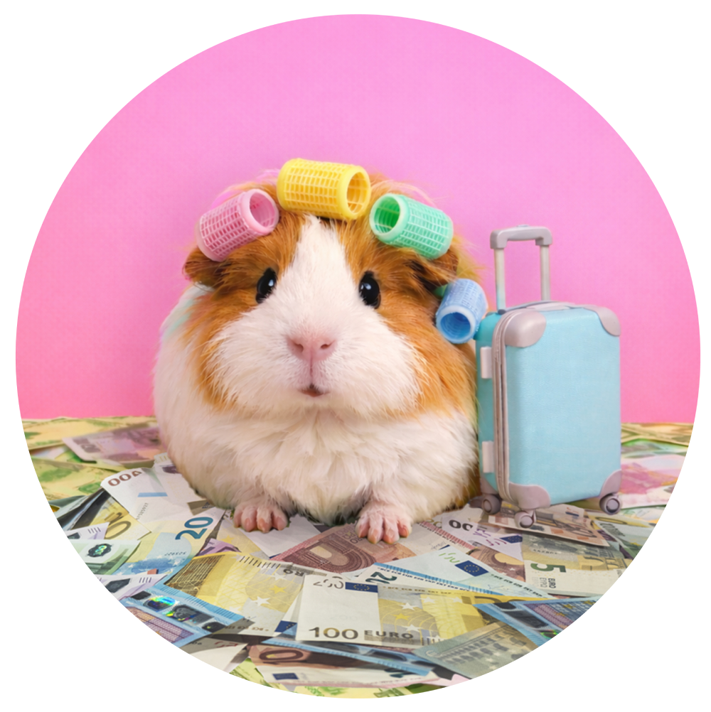 Travel Money